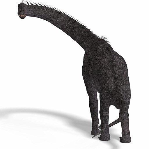 Brachiosaurus 03 A_0001.jpg - giant dinosaur brachiosaurus With Clipping Path over white